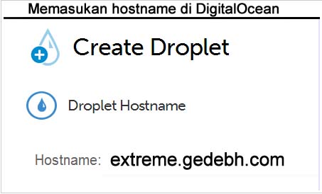 Hostname Digitalocean